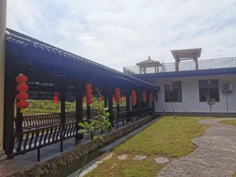 周末铜鼓人都往大塅跑74原来是这么回事