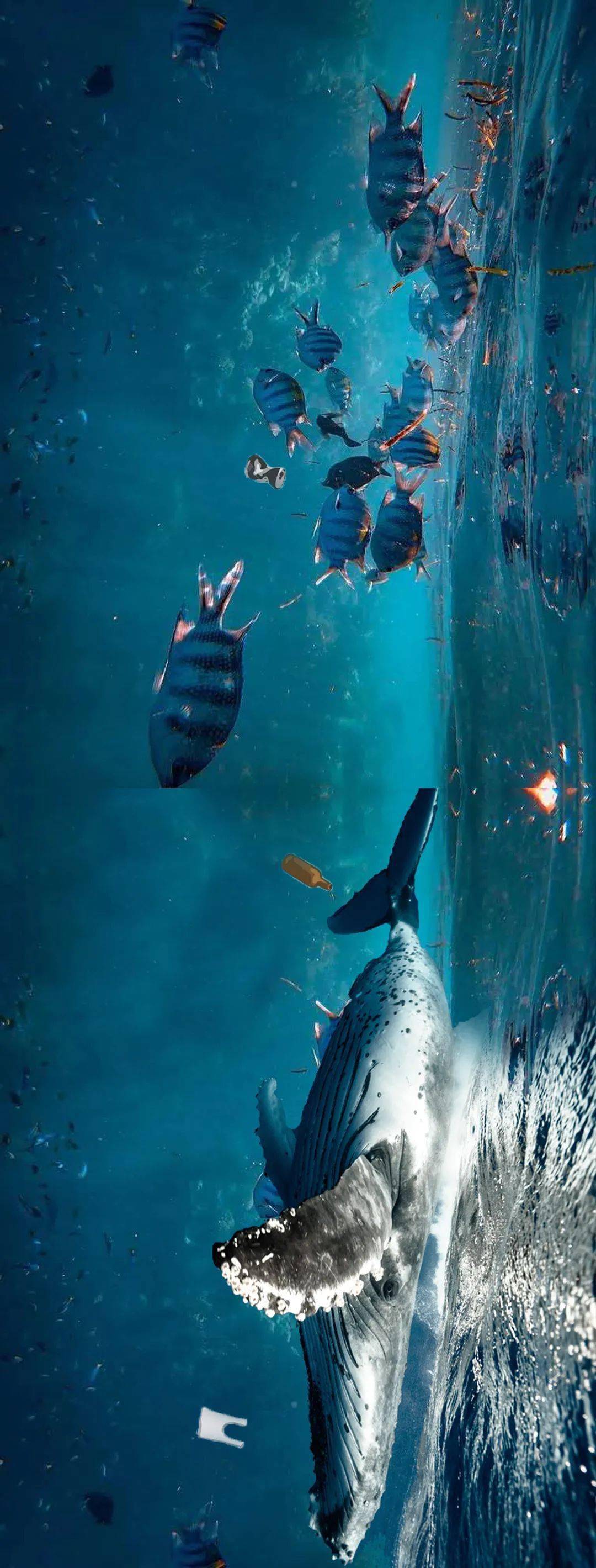 请旋转手机大海还有这样的一面然而还有很多可爱的海洋生物广阔无垠