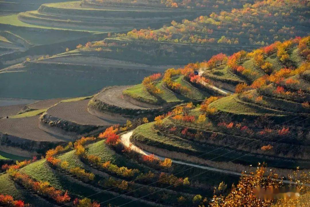 庄浪县初秋时节来庄浪看百万亩梯田绝美风光