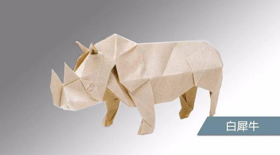 白犀牛折纸教程图片