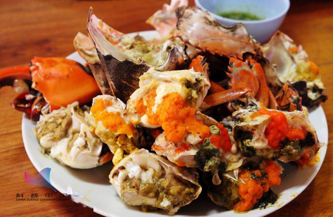 死蟹不能吃母蟹比公蟹好今天解释清楚了