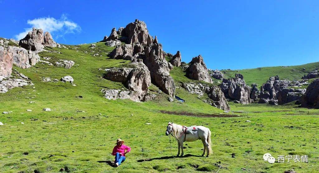 郭忠福摄影天峻石林游记