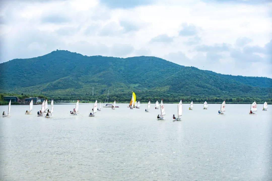 敔山湾人头攒动!喊声震天!到底发生了什么……_江阴