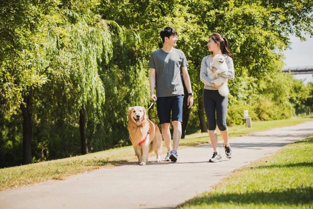 最好的运动是走路!但肥胖,体弱,便秘.这7种人走法不同,效果也不同