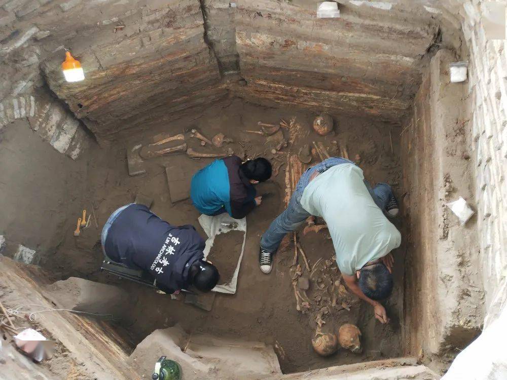 【文化下午茶】未解之谜 · 双辽古墓中的人骨密码!