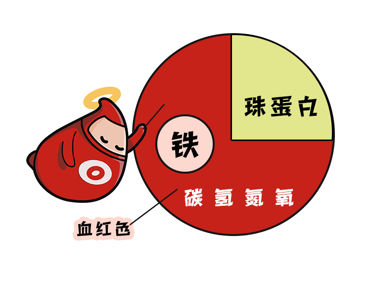 献血惨被拒血红蛋白偏低究竟是咋回事儿