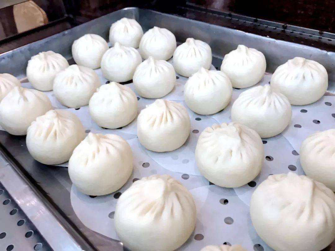 10月19日第12期生胚速冻包子纸皮包子100克发面大包秘制灌汤包酱肉包