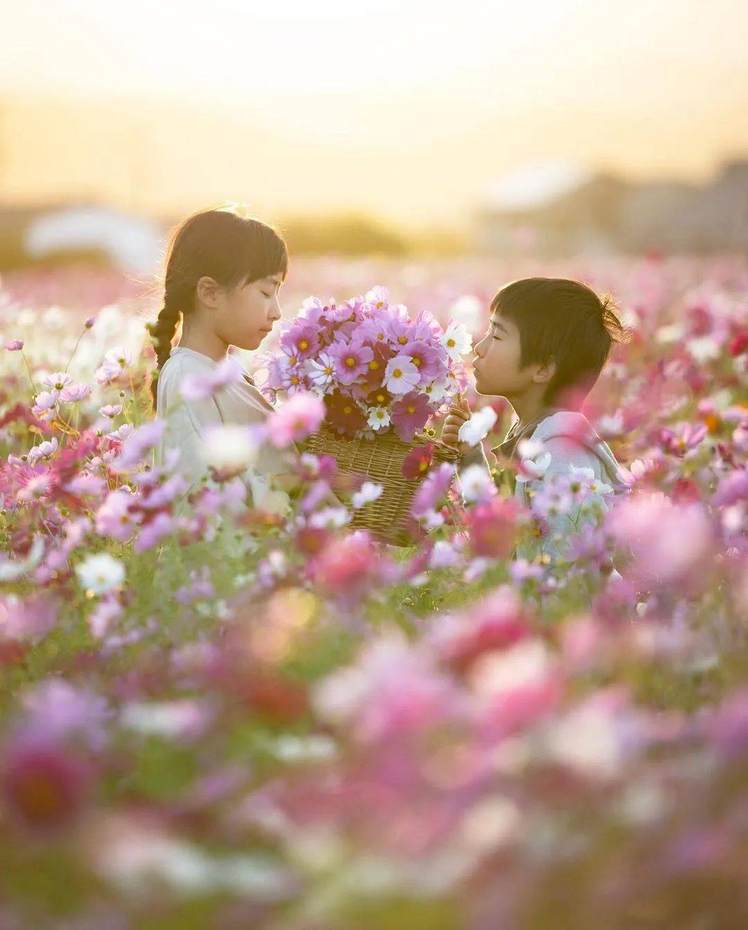 一位有爱的爸爸记录下了唯美温暖的姐弟日常