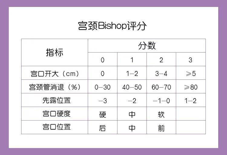 宫颈评分标准表格图片图片