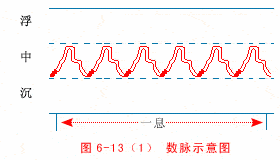 中医把脉手把手教,最全动图展示并心法口诀!_脉象