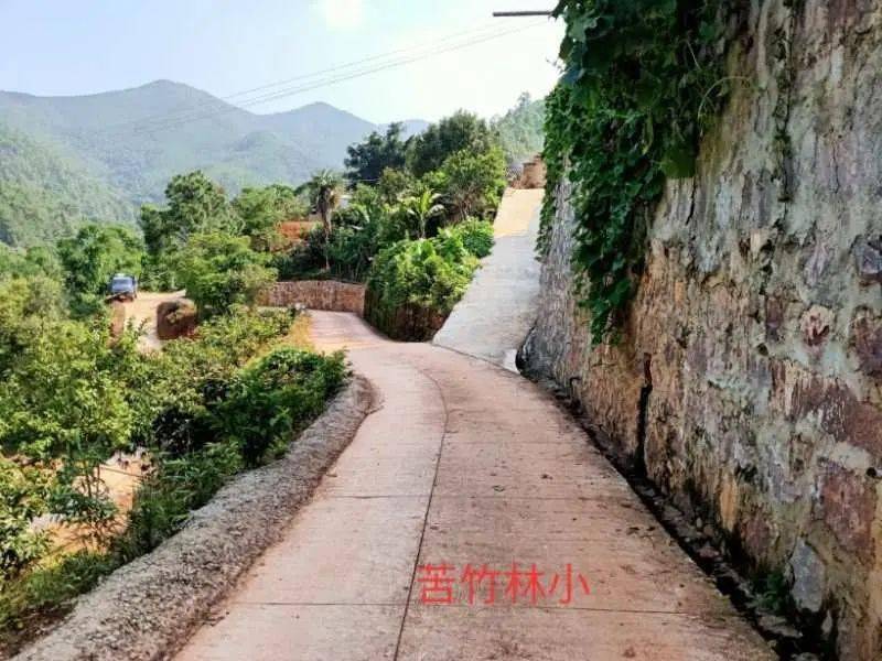 思茅街道莲花村苦竹林这些地方值得学习红榜展示