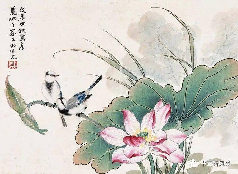 花鸟大师田世光画荷!_荷花