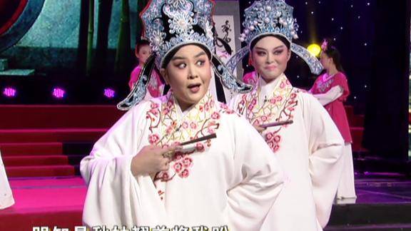 豫剧风流才子选段王静祝老兄到东厅雪中送碳丨梨园春
