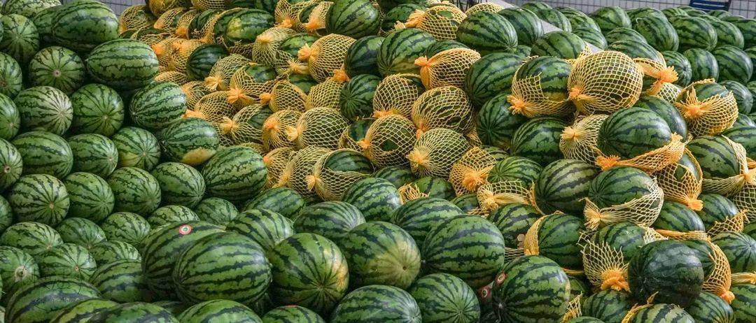 香蕉,苹果,西瓜,菠萝.