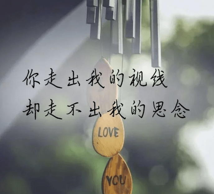 入了心的你我此生最美的遇见