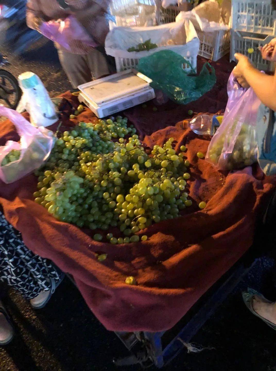 如何吃到正宗的大圩葡萄秘密都在这儿