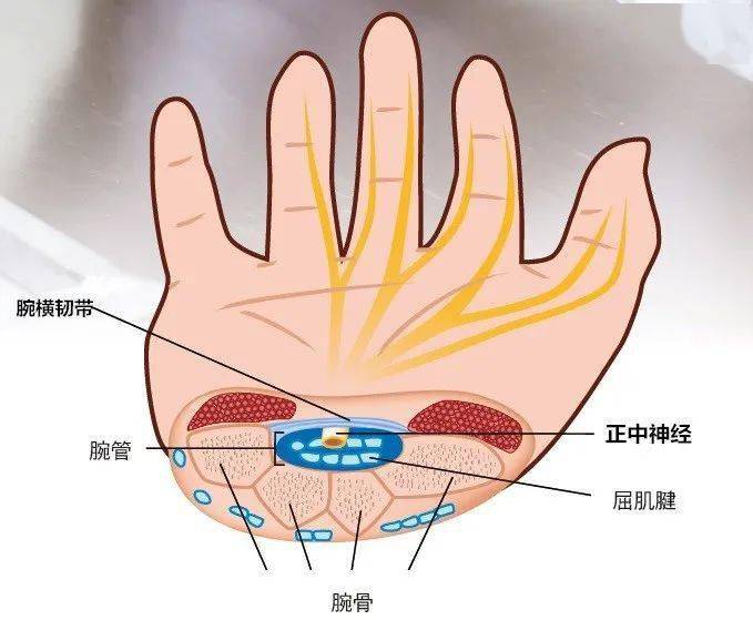 停不下来的 鼠标手,抖着抖着就习惯了?