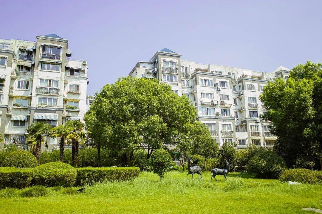 漂亮沉寂多年建德花园里的百合终于想开了