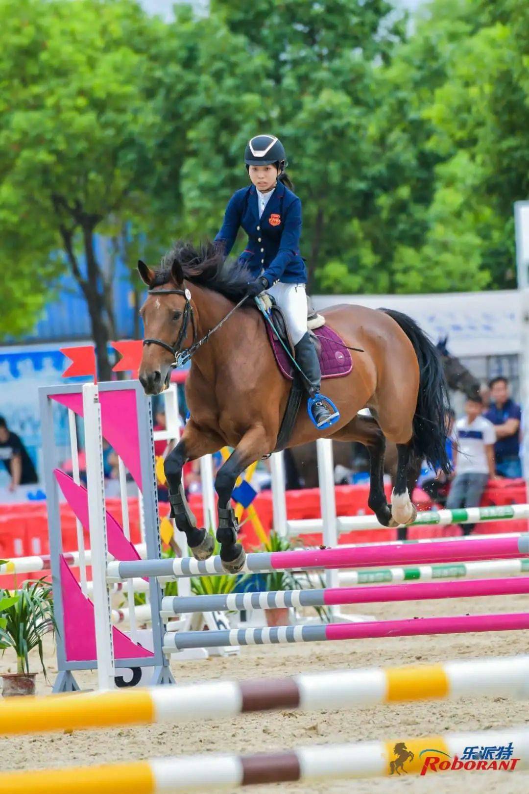 2020上海市青少年马术场地障碍锦标赛暨第九届乐派特杯马术公开赛圆满