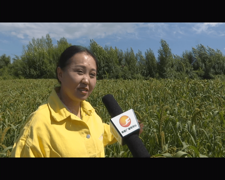 致富带头 扶危助困——记阜蒙县化石戈镇二色村致富带头人李春艳