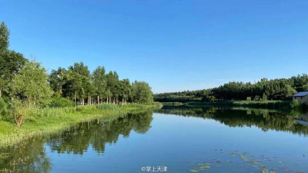 天津清水塘图片