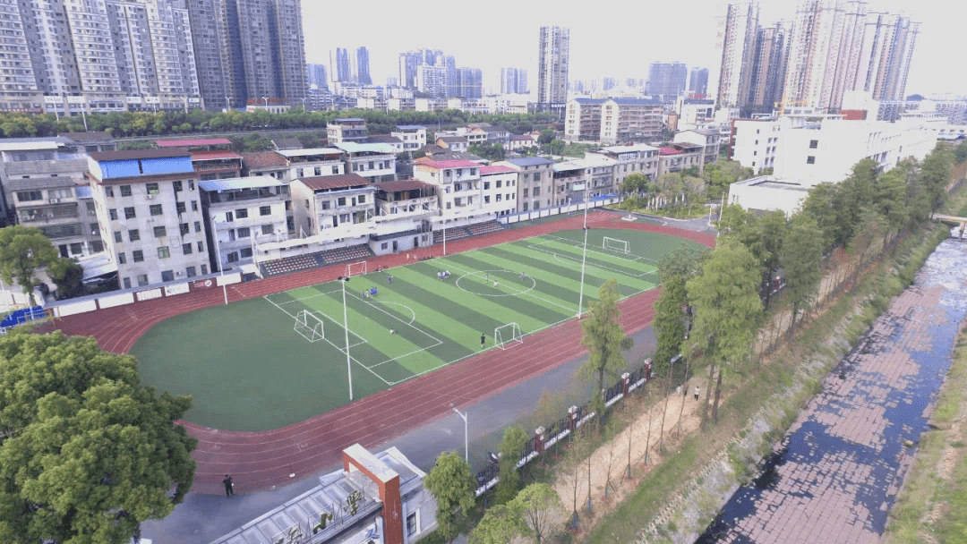 金钟御龙城,幸福路小学,衡钢中学小等名校环绕,延长陪伴孩子的亲子