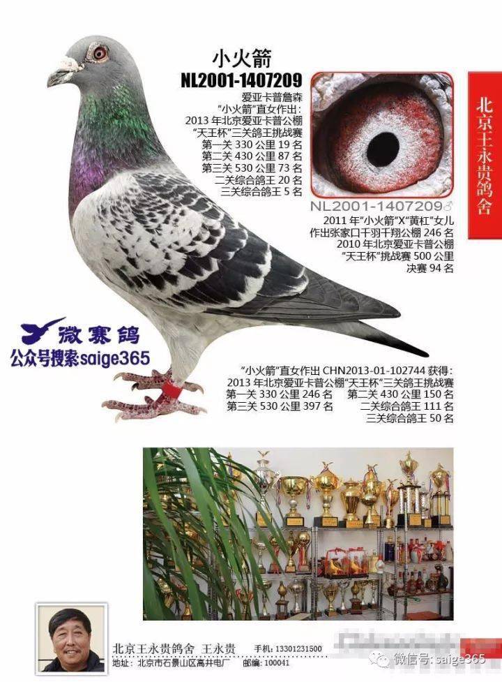 北京王永贵为何他的黄杠系在卡普如此厉害!