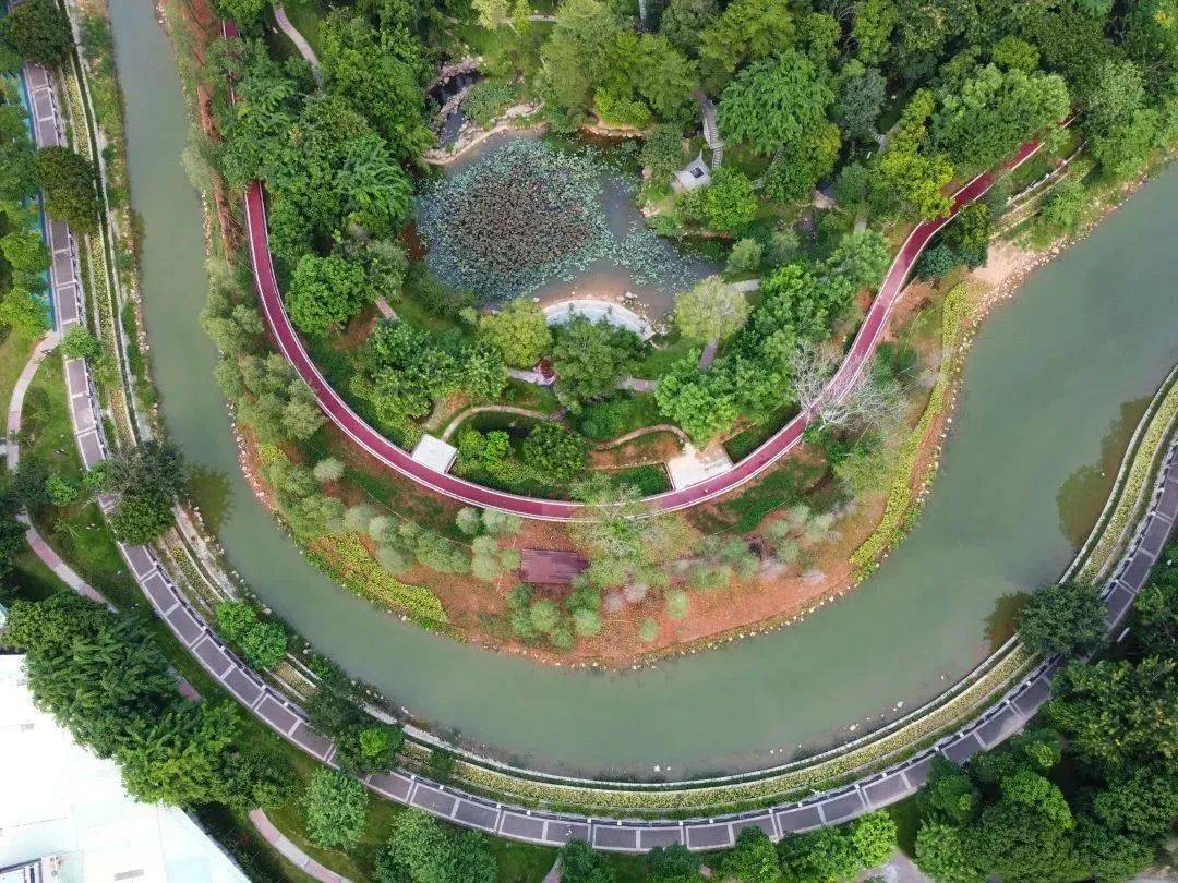 清溪这里变化太大太漂亮了都成东莞的颜值担当