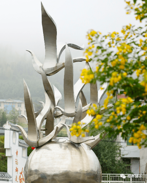 遂川千年鸟道图片