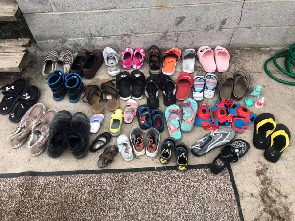 猫偷鞋没被责怪反而成网红,而且还是成双的偷,高达50多双!