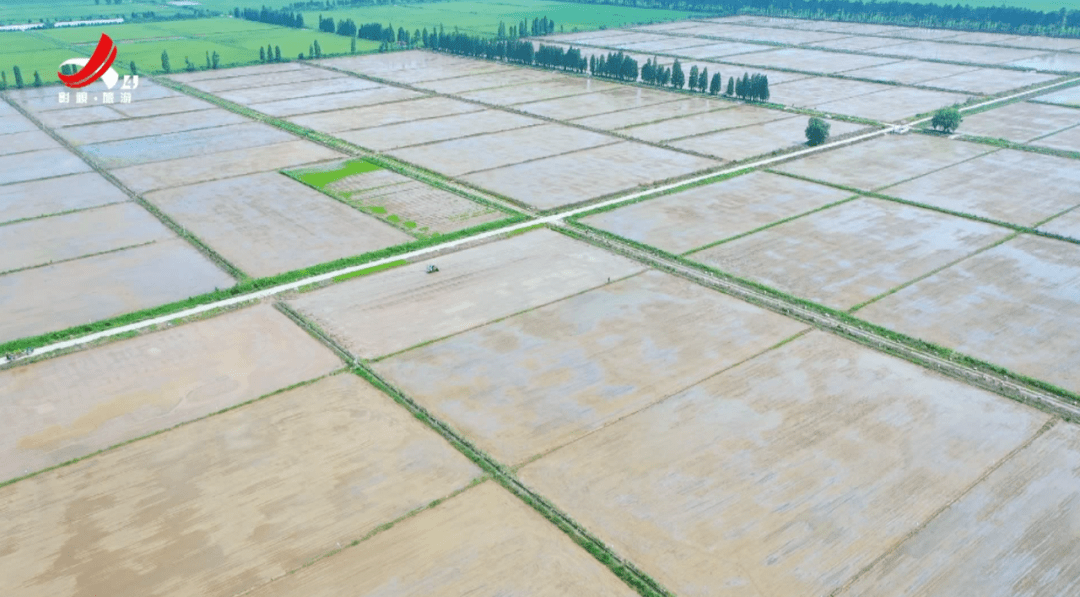 江西四套今日赣鄱走进成新农场