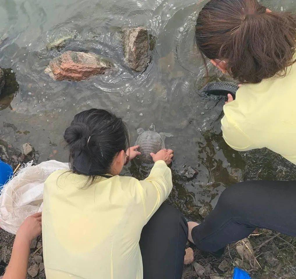 初一吉祥日放生行善祈福诵经