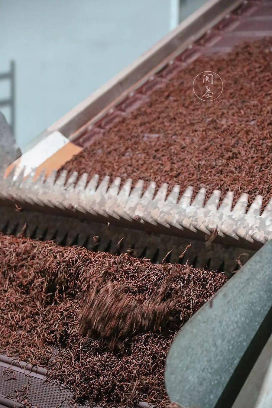 每周五分钟到了秋冬喝红茶的季节别说你不知道该怎么选好红茶