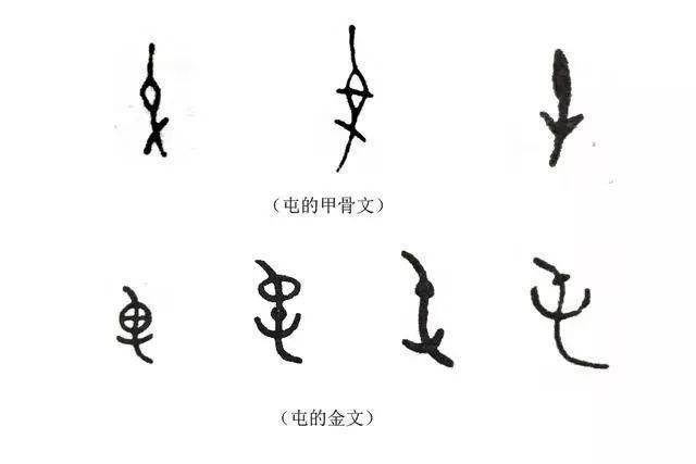 (屯的字形演变)甲骨文的屯和金文的屯字形都像种子萌发新芽后长出第一