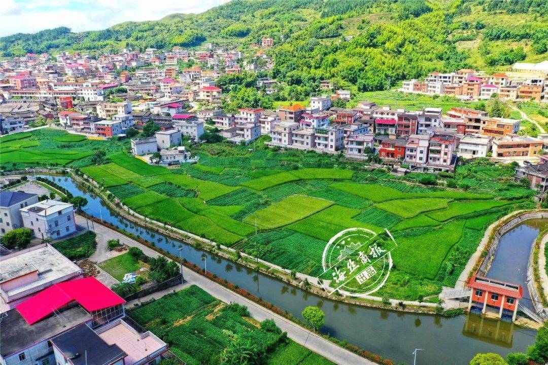 这里的南安人过上了"向往的生活",怎么做到的?