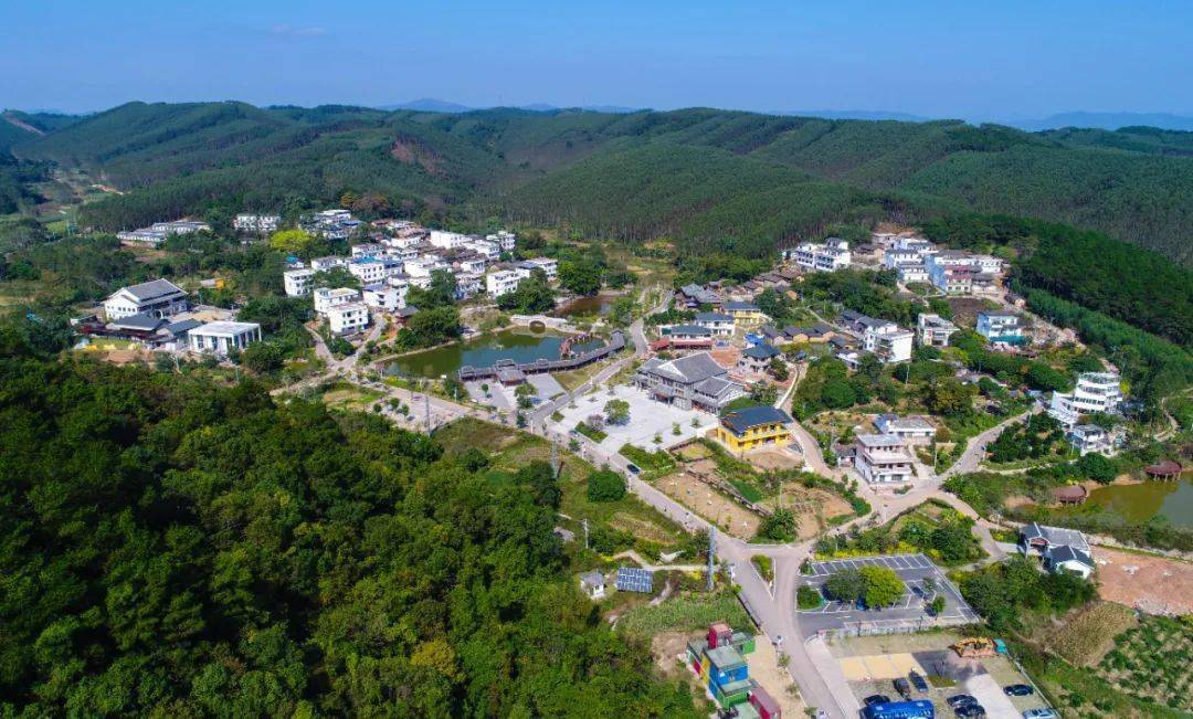 青秀区南阳镇施厚村获评国家级称号