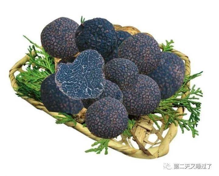 川滇明珠凉山会东