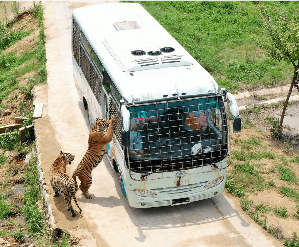 鄂北野生动物世界都让人止步合影拍照每看到一块干净光滑的石头绕着山