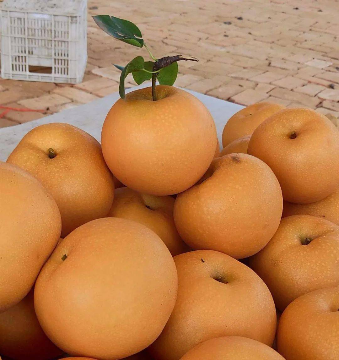 邻居购物当季山东秋月梨直送梅陇社区果形饱满皮薄肉厚入口化渣现摘现