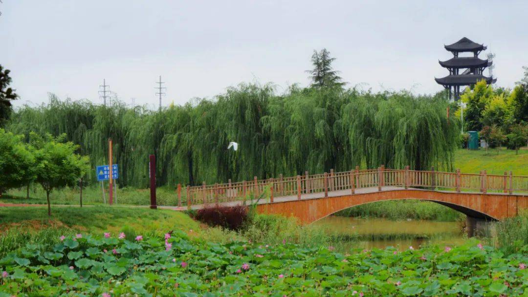 邯郸如意湖湿地公园图片