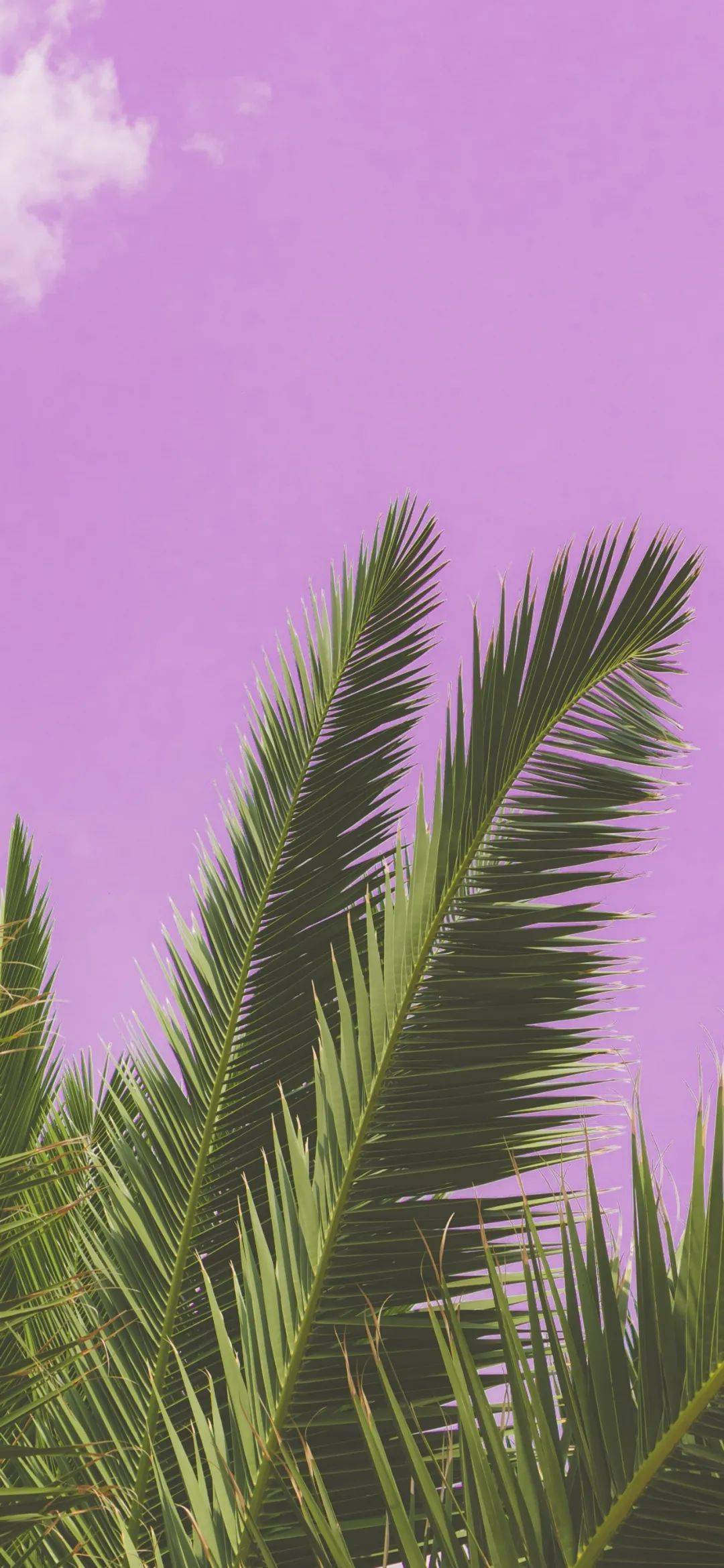 全面屏壁纸 | 高清无水印手机壁纸