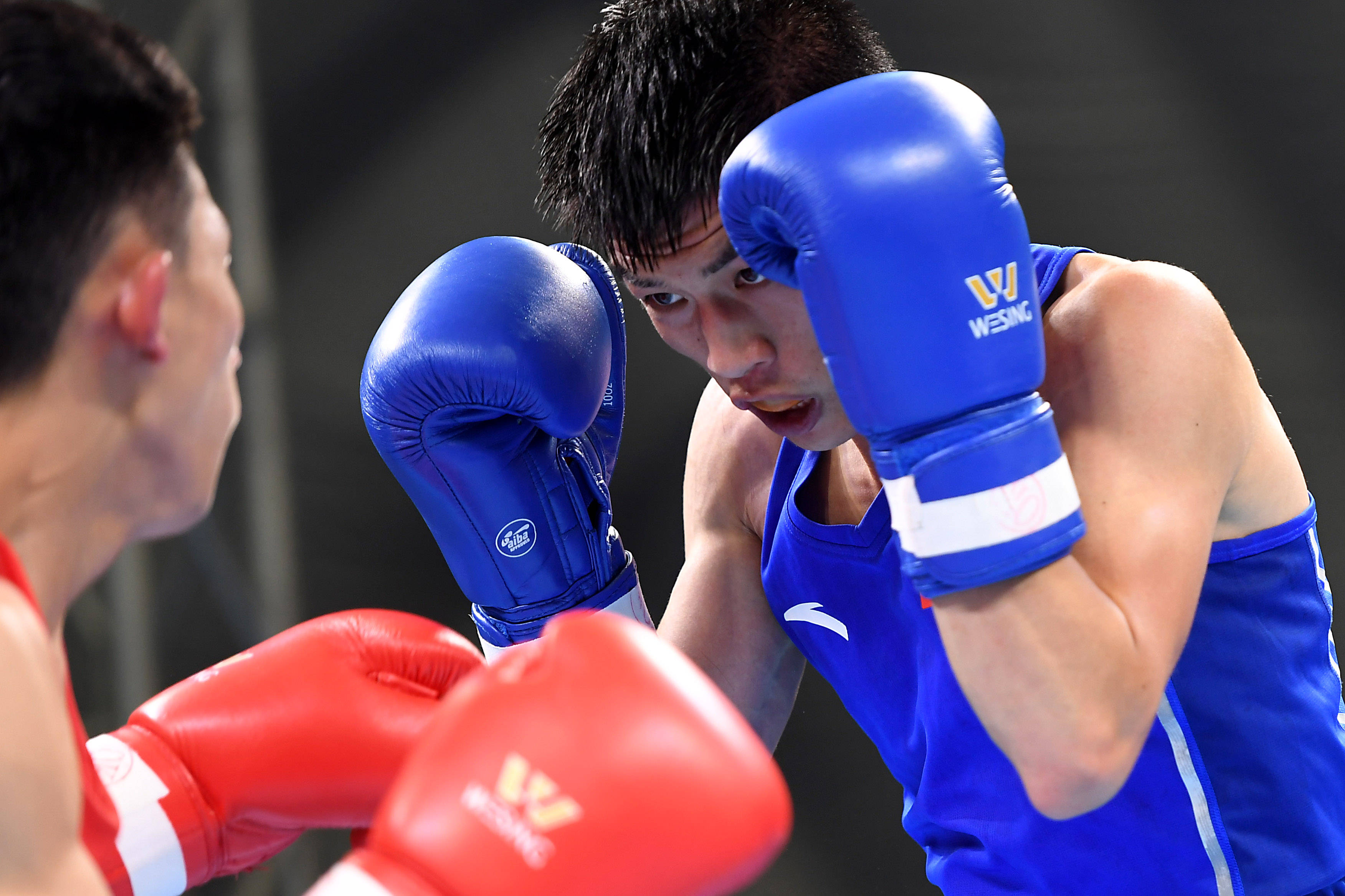 拳击全国男子锦标赛林鸿飞晋级49公斤级决赛