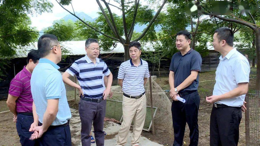 市政府督导组到连平督导省挂牌整治问题整改工作_陂头镇