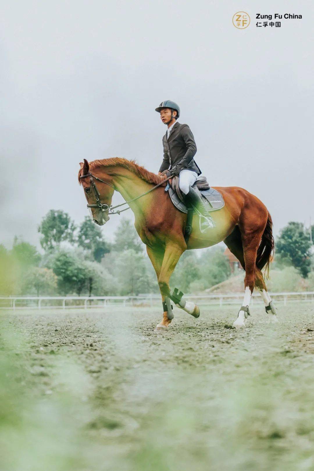 驾驭有术·纵享奔驰人生 | 仁孚中国成都区马术体验专享活动圆满落幕