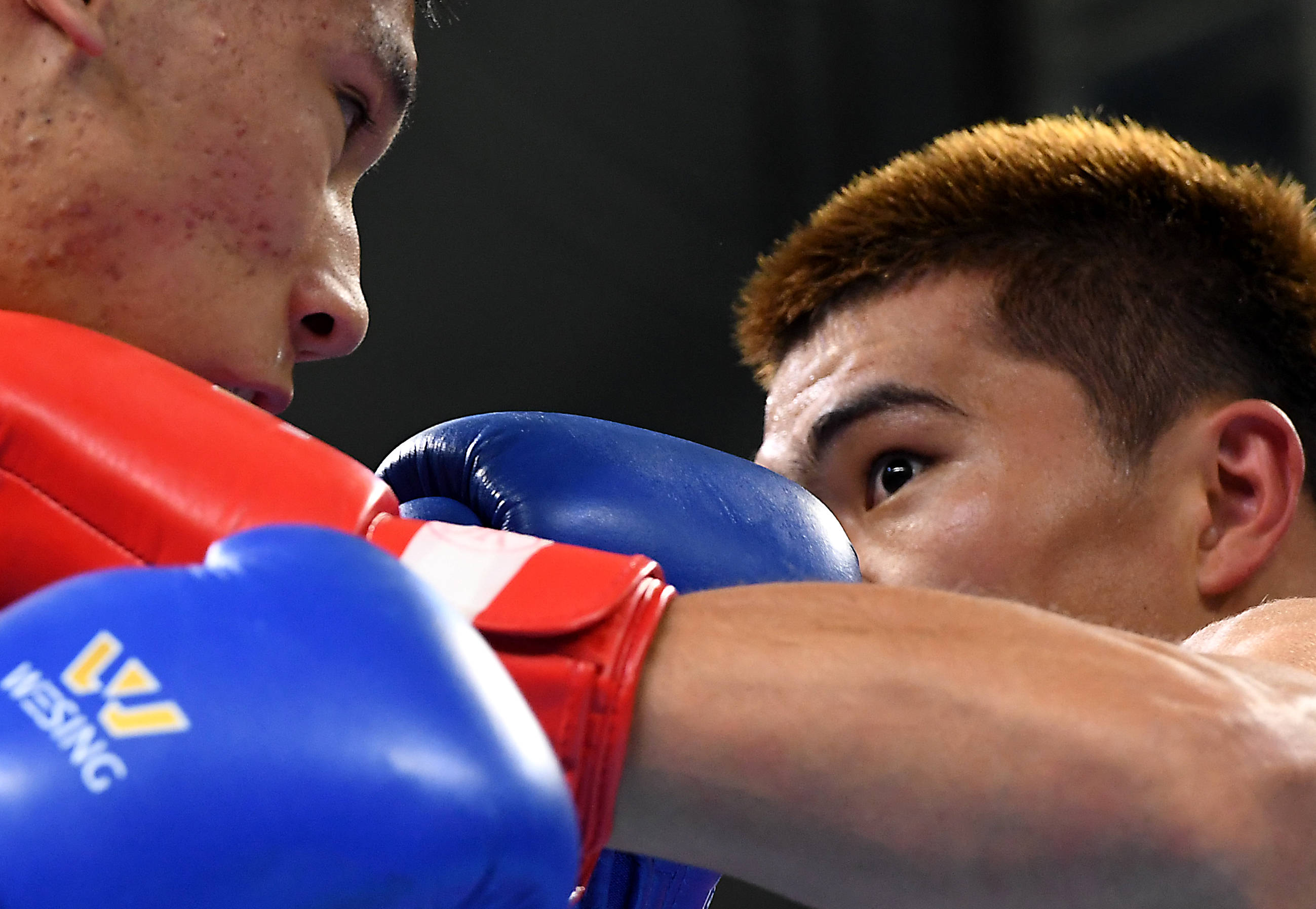 拳击——全国男子锦标赛:托合塔尔别克·唐拉提汗夺得75公斤级冠军