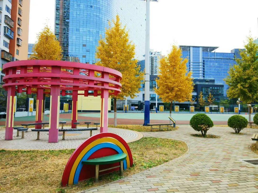 北京市朝阳区第二实验小学作者:龚正校园里空气中弥漫着果味的香气