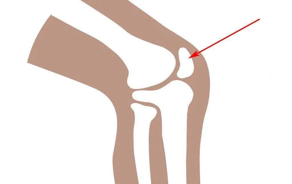 说文解字第352课成语科头跣足中跣是什么意思