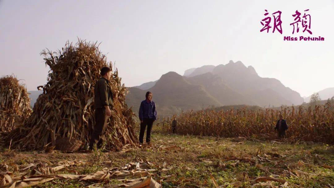 电影朝颜今日上映草台班子催泪首映礼全场女性