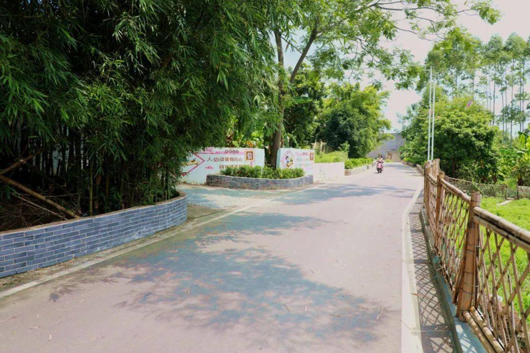 感受美丽乡村的魅力~走进平南县上渡街道大成村村头屯,现在,请跟随