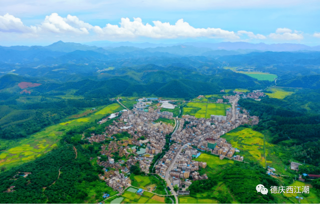 德庆一大波珍贵乡村图片曝光,抓鱼,摘荔枝,割禾等瞬间,你上镜了吗?